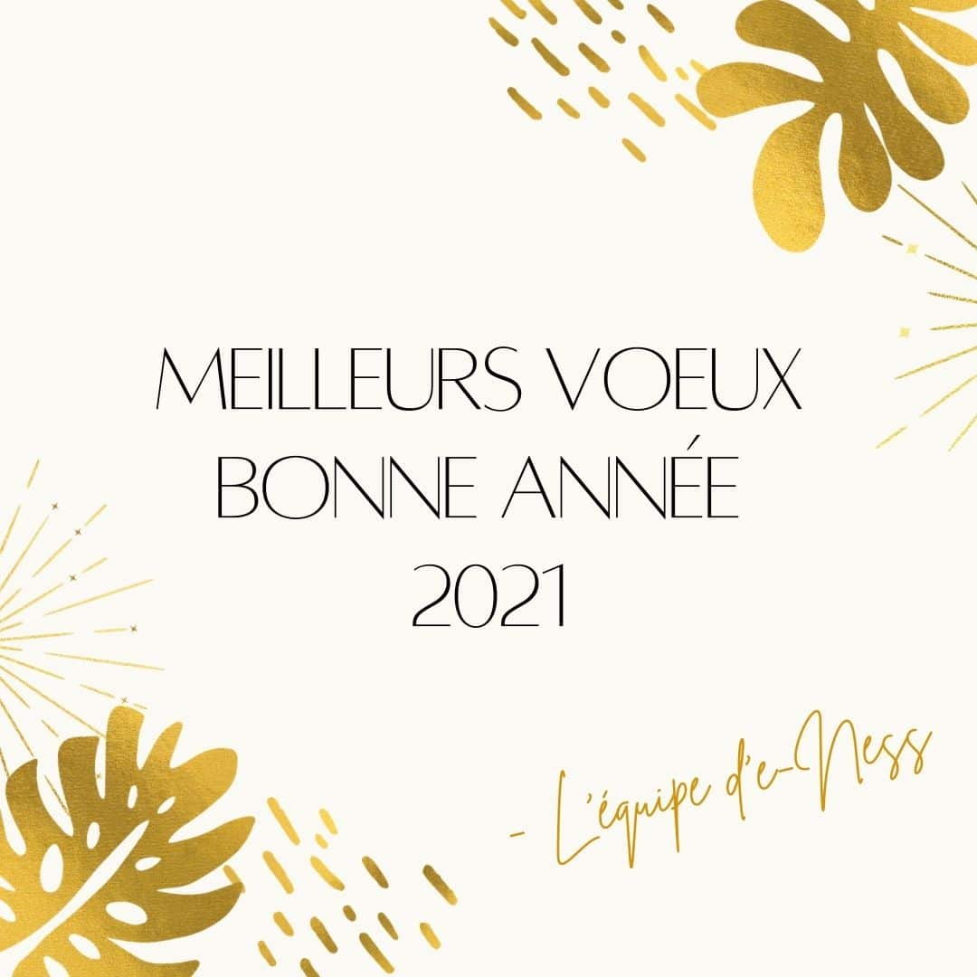 Meilleurs voeux bonne annee 2021 - Quimper Brest